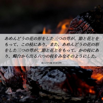 Picture 06 - 出エジプト記 37:19 JPN - あめんどうの花の形をした三つの萼 - Bible Verse Picture