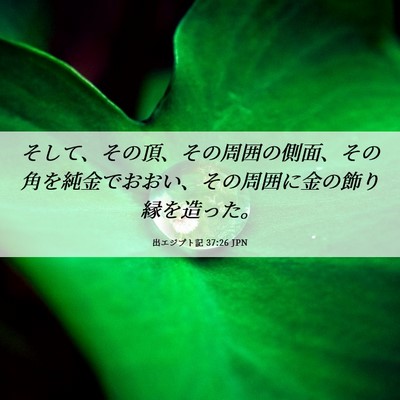 Picture 06 - 出エジプト記 37:26 JPN - そして、その頂、その周囲の側面、 - Bible Verse Picture