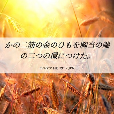 Picture 06 - 出エジプト記 39:17 JPN - かの二筋の金のひもを胸当の端の二 - Bible Verse Picture