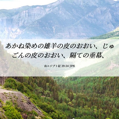 Picture 06 - 出エジプト記 39:34 JPN - あかね染めの雄羊の皮のおおい、じ - Bible Verse Picture