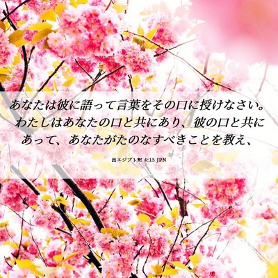 Picture 06 - 出エジプト記 4:15 JPN - あなたは彼に語って言葉をその口に - Bible Verse Picture