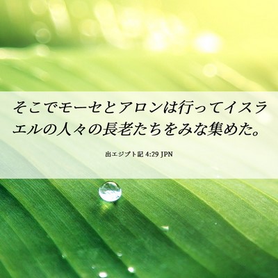 Picture 06 - 出エジプト記 4:29 JPN - そこでモーセとアロンは行ってイス - Bible Verse Picture