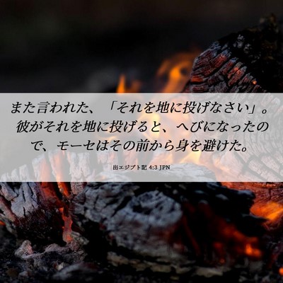 Picture 06 - 出エジプト記 4:3 JPN - また言われた、「それを地に投げな - Bible Verse Picture