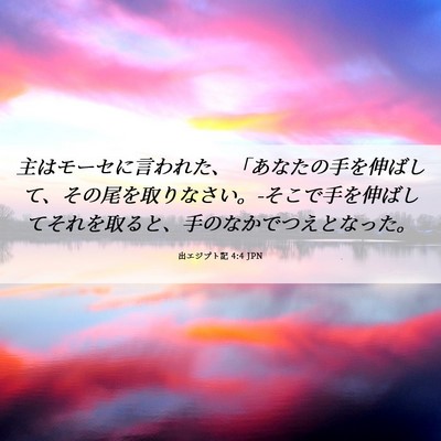 Picture 06 - 出エジプト記 4:4 JPN - 主はモーセに言われた、「あなたの - Bible Verse Picture