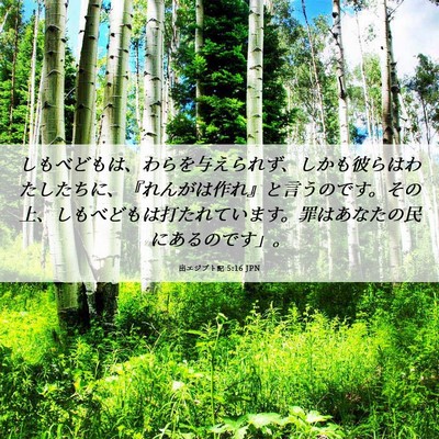 Picture 06 - 出エジプト記 5:16 JPN - しもべどもは、わらを与えられず、 - Bible Verse Picture