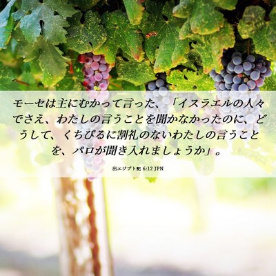 Picture 06 - 出エジプト記 6:12 JPN - モーセは主にむかって言った、「イ - Bible Verse Picture