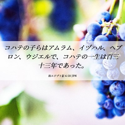 Picture 06 - 出エジプト記 6:18 JPN - コハテの子らはアムラム、イヅハル - Bible Verse Picture