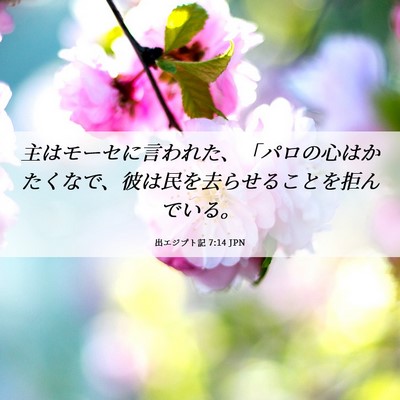 Picture 06 - 出エジプト記 7:14 JPN - 主はモーセに言われた、「パロの心 - Bible Verse Picture