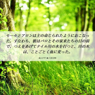 Picture 06 - 出エジプト記 7:20 JPN - モーセとアロンは主の命じられたよ - Bible Verse Picture