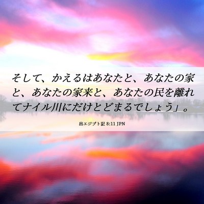Picture 06 - 出エジプト記 8:11 JPN - そして、かえるはあなたと、あなた - Bible Verse Picture