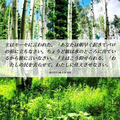 Picture 06 - 出エジプト記 8:20 JPN - 主はモーセに言われた、「あなたは - Bible Verse Picture