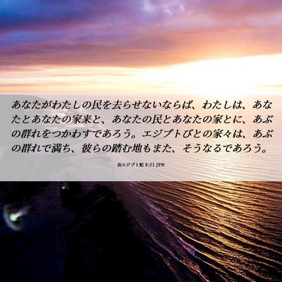 Picture 06 - 出エジプト記 8:21 JPN - あなたがわたしの民を去らせないな - Bible Verse Picture
