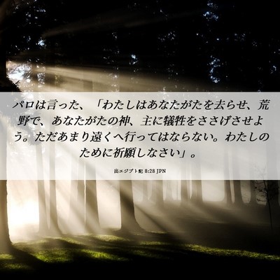 Picture 06 - 出エジプト記 8:28 JPN - パロは言った、「わたしはあなたが - Bible Verse Picture