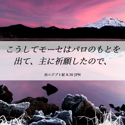 Picture 06 - 出エジプト記 8:30 JPN - こうしてモーセはパロのもとを出て - Bible Verse Picture