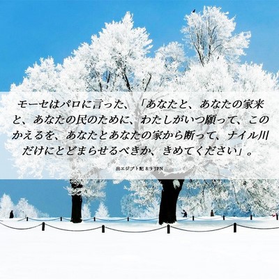 Picture 06 - 出エジプト記 8:9 JPN - モーセはパロに言った、「あなたと - Bible Verse Picture