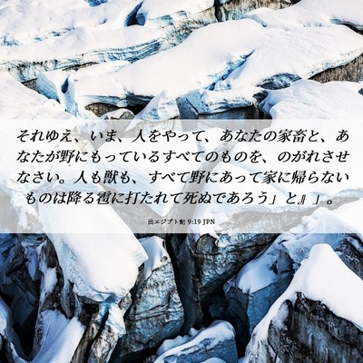 Picture 06 - 出エジプト記 9:19 JPN - それゆえ、いま、人をやって、あな - Bible Verse Picture