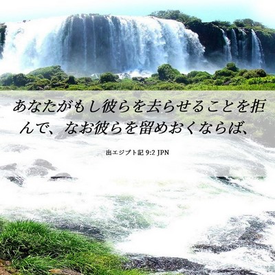 Picture 06 - 出エジプト記 9:2 JPN - あなたがもし彼らを去らせることを - Bible Verse Picture