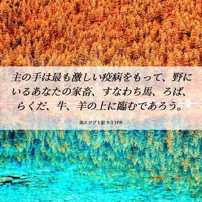 Picture 06 - 出エジプト記 9:3 JPN - 主の手は最も激しい疫病をもって、 - Bible Verse Picture