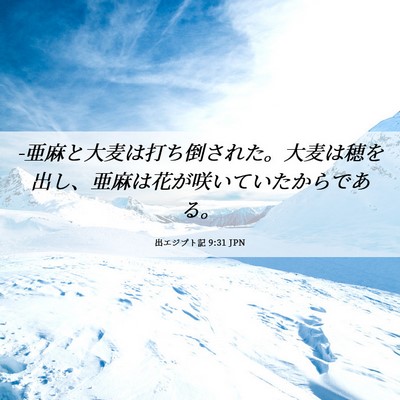 Picture 06 - 出エジプト記 9:31 JPN - -亜麻と大麦は打ち倒された。大麦は - Bible Verse Picture