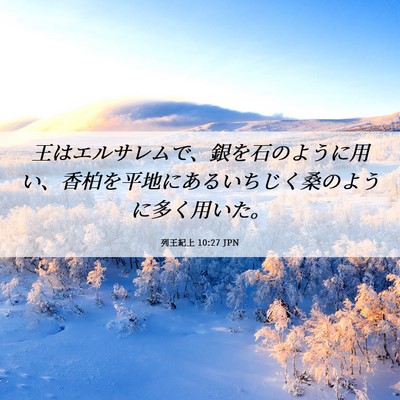 Picture 06 - 列王紀上 10:27 JPN - 王はエルサレムで、銀を石のように - Bible Verse Picture