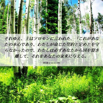 Picture 06 - 列王紀上 11:11 JPN - それゆえ、主はソロモンに言われた - Bible Verse Picture