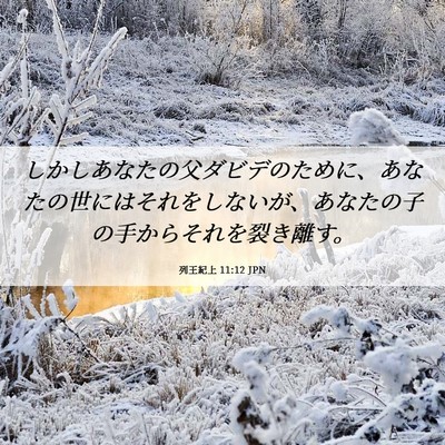Picture 06 - 列王紀上 11:12 JPN - しかしあなたの父ダビデのために、 - Bible Verse Picture