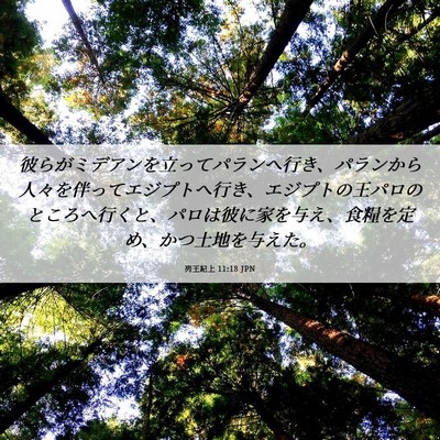 Picture 06 - 列王紀上 11:18 JPN - 彼らがミデアンを立ってパランへ行 - Bible Verse Picture