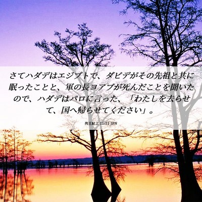 Picture 06 - 列王紀上 11:21 JPN - さてハダデはエジプトで、ダビデが - Bible Verse Picture