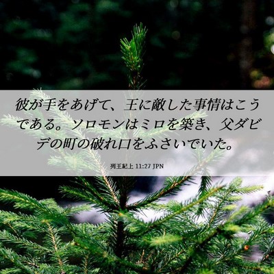 Picture 06 - 列王紀上 11:27 JPN - 彼が手をあげて、王に敵した事情は - Bible Verse Picture