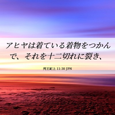 Picture 06 - 列王紀上 11:30 JPN - アヒヤは着ている着物をつかんで、 - Bible Verse Picture