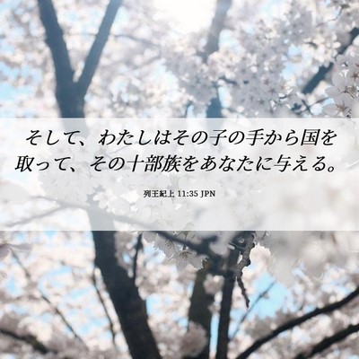 Picture 06 - 列王紀上 11:35 JPN - そして、わたしはその子の手から国 - Bible Verse Picture