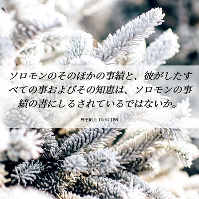 Picture 06 - 列王紀上 11:41 JPN - ソロモンのそのほかの事績と、彼が - Bible Verse Picture