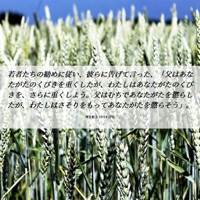 Picture 06 - 列王紀上 12:14 JPN - 若者たちの勧めに従い、彼らに告げ - Bible Verse Picture