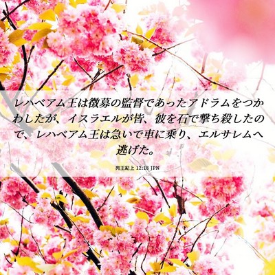Picture 06 - 列王紀上 12:18 JPN - レハベアム王は徴募の監督であった - Bible Verse Picture