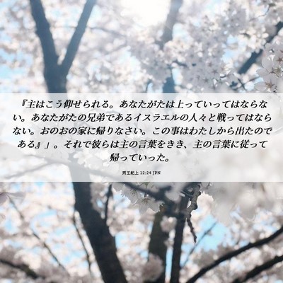 Picture 06 - 列王紀上 12:24 JPN - 『主はこう仰せられる。あなたがた - Bible Verse Picture