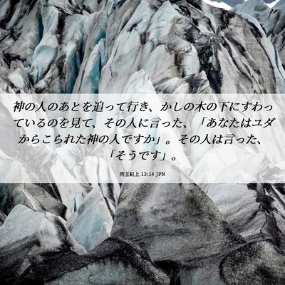 Picture 06 - 列王紀上 13:14 JPN - 神の人のあとを追って行き、かしの - Bible Verse Picture