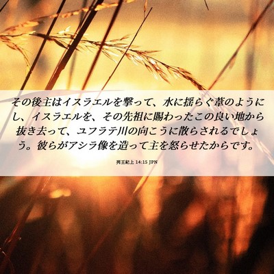 Picture 06 - 列王紀上 14:15 JPN - その後主はイスラエルを撃って、水 - Bible Verse Picture