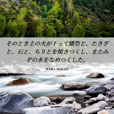 Picture 06 - 列王紀上 18:38 JPN - そのとき主の火が下って燔祭と、た - Bible Verse Picture