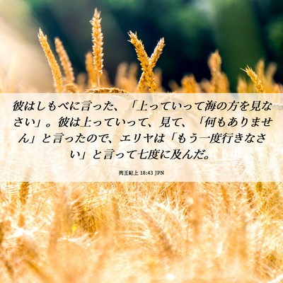 Picture 06 - 列王紀上 18:43 JPN - 彼はしもべに言った、「上っていっ - Bible Verse Picture