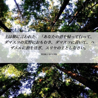 Picture 06 - 列王紀上 19:15 JPN - 主は彼に言われた、「あなたの道を - Bible Verse Picture