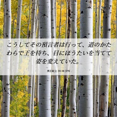Picture 06 - 列王紀上 20:38 JPN - こうしてその預言者は行って、道の - Bible Verse Picture