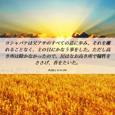 Picture 06 - 列王紀上 22:43 JPN - ヨシャパテは父アサのすべての道に - Bible Verse Picture
