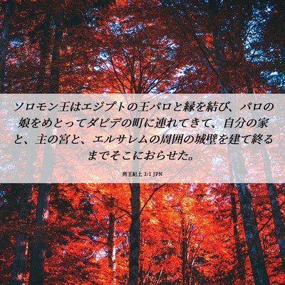 Picture 06 - 列王紀上 3:1 JPN - ソロモン王はエジプトの王パロと縁 - Bible Verse Picture