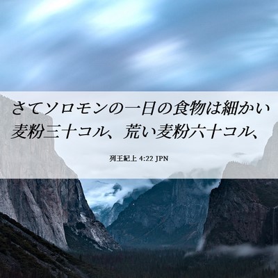 Picture 06 - 列王紀上 4:22 JPN - さてソロモンの一日の食物は細かい - Bible Verse Picture