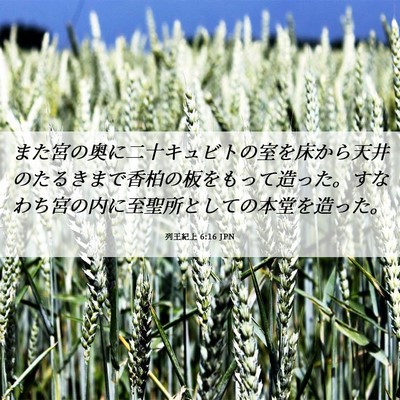 Picture 06 - 列王紀上 6:16 JPN - また宮の奥に二十キュビトの室を床 - Bible Verse Picture