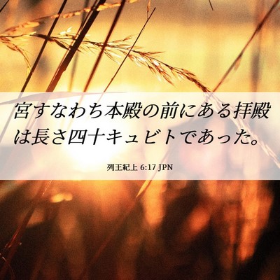 Picture 06 - 列王紀上 6:17 JPN - 宮すなわち本殿の前にある拝殿は長 - Bible Verse Picture