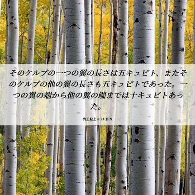 Picture 06 - 列王紀上 6:24 JPN - そのケルブの一つの翼の長さは五キ - Bible Verse Picture