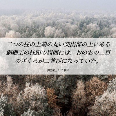 Picture 06 - 列王紀上 7:20 JPN - 二つの柱の上端の丸い突出部の上に - Bible Verse Picture