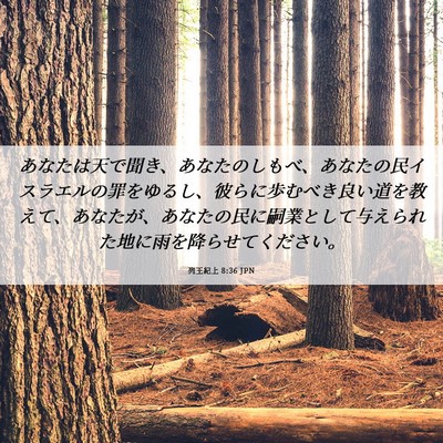 Picture 06 - 列王紀上 8:36 JPN - あなたは天で聞き、あなたのしもべ - Bible Verse Picture