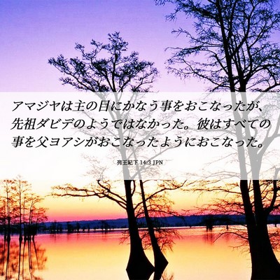 Picture 06 - 列王紀下 14:3 JPN - アマジヤは主の目にかなう事をおこ - Bible Verse Picture